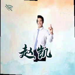 赵凯